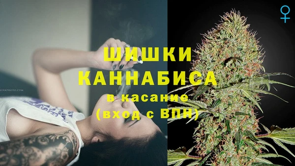 сатива Данков
