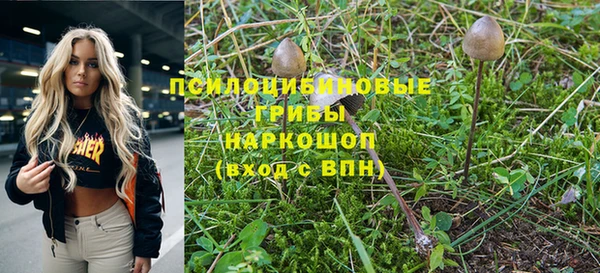 MESCALINE Покров