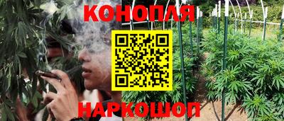 PSILOCYBIN Балаково