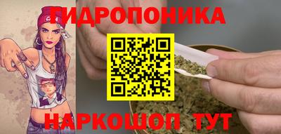 ГАЛЛЮЦИНОГЕННЫЕ ГРИБЫ Балахна