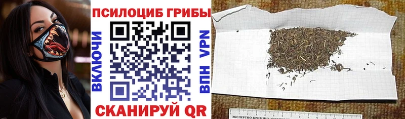 где купить наркоту  Соликамск  Галлюциногенные грибы мухоморы 