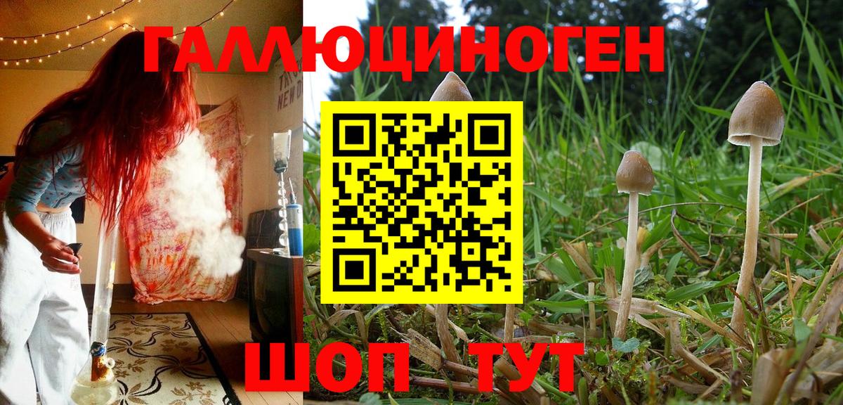 Псилоцибиновые грибы Cubensis  Вход с VPN  Соликамск  Галлюциногенные грибы мицелий 