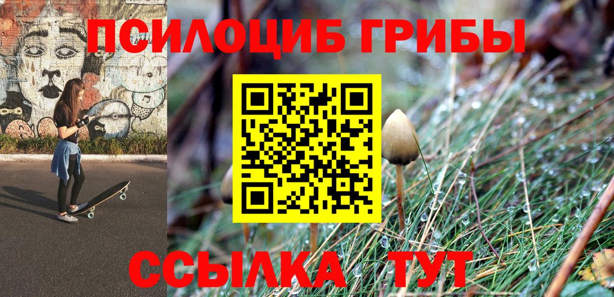 Галлюциногенные грибы GOLDEN TEACHER Соликамск