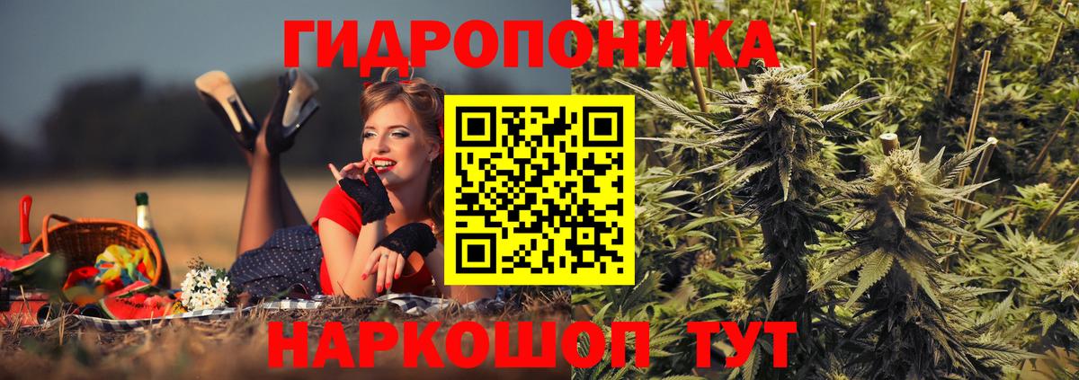 Бошки марихуана сатива Соликамск